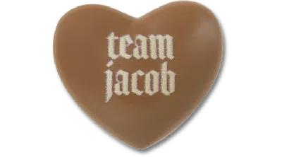 Jibbitz The Twilight Saga Team Jacob In Brown