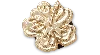 Jibbitz Tiny Gold Hibiscus