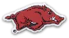 Jibbitz University Of Arkansas