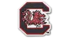 Jibbitz University Of South Carolina