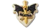 Jibbitz Valkyrie