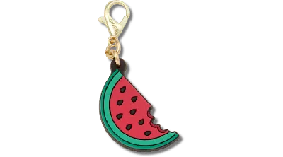 Jibbitz Watermelon Charm In Brown
