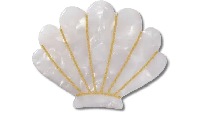 Jibbitz White And Gold Seashell