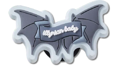 Jibbitz Wings In Multi