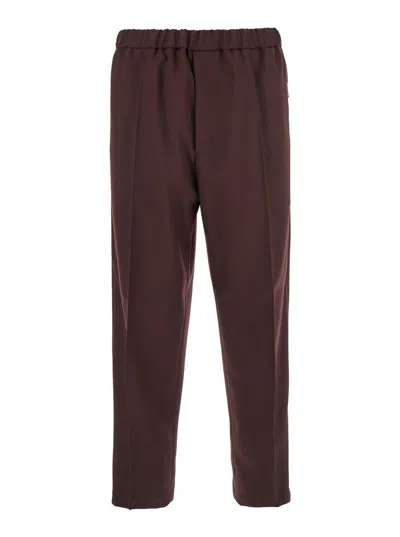 Jil Sander Bordeaux Pants With Elastic Waist In Tech Fabric Man In Red