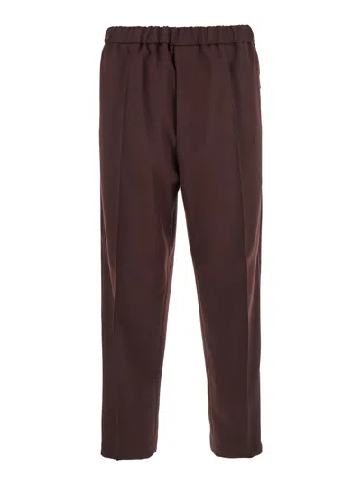 Jil Sander Bordeaux Pants With Elastic Waist In Tech Fabric Man In Brown
