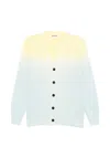 Jil Sander Buttoned Gradient Cardigan In Multi