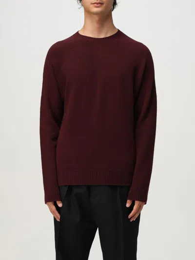 Jil Sander Cardigan  Men Color Orchid In Burgundy