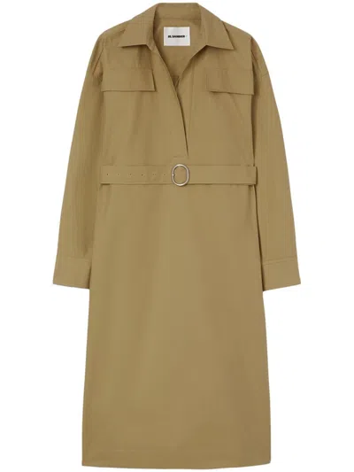 Jil Sander Classic-collar Cotton Dress In Beaver