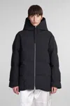 Jil Sander Puffer In Black Polyester In Black