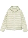 Jil Sander Hooded Puffer Jacket In Grün