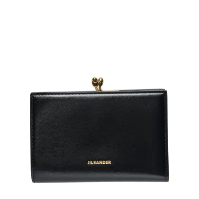 Jil Sander Goji Small Luxe Purse
