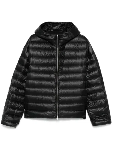 Jil Sander Hooded Puffer Jacket In Black