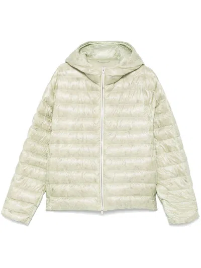 Jil Sander Hooded Puffer Jacket In Green