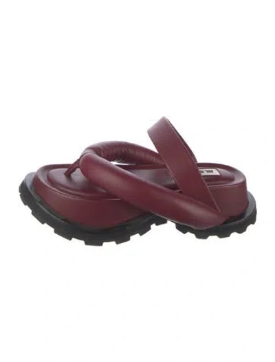 Pre-owned Jil Sander Leather Flip Flops In Burgundy