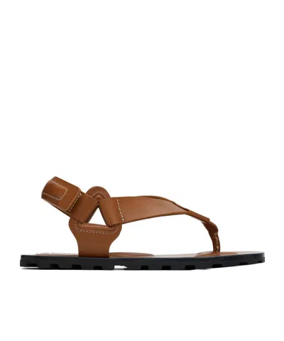 Jil Sander Logo Flat Sandals In Brown