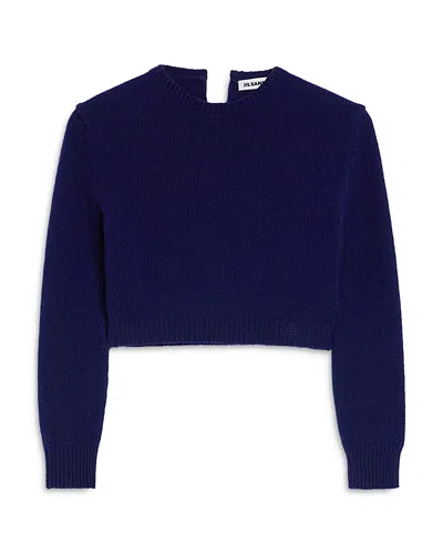 Jil Sander Long Sleeve Crewneck Sweater In Blue