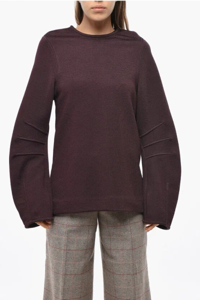 Jil Sander Long-sleeved Plum Top With Back Zip In Brown