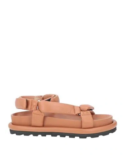 Jil Sander Man Sandals Tan Size 9 Leather In Multi