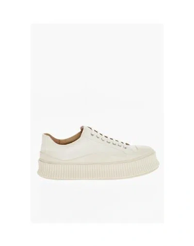 Jil Sander Lace-up Low-top Sneakers In Red