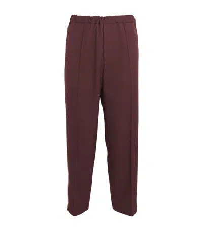 Jil Sander Pleated Straight Trousers In Purple