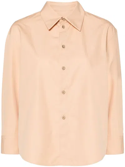 Jil Sander Pointed-collar Cotton Shirt In Brown