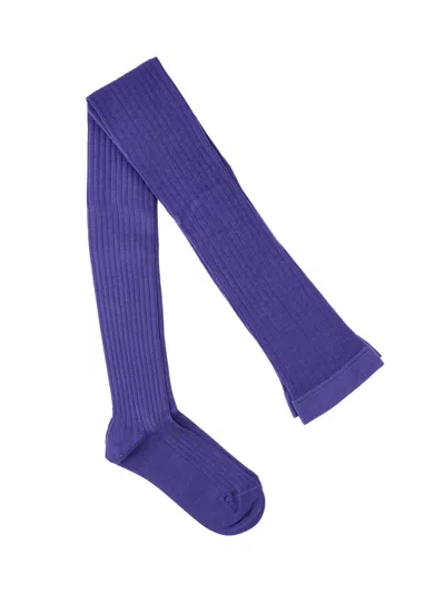 Jil Sander Ribbed Knee-high Socks In Blue
