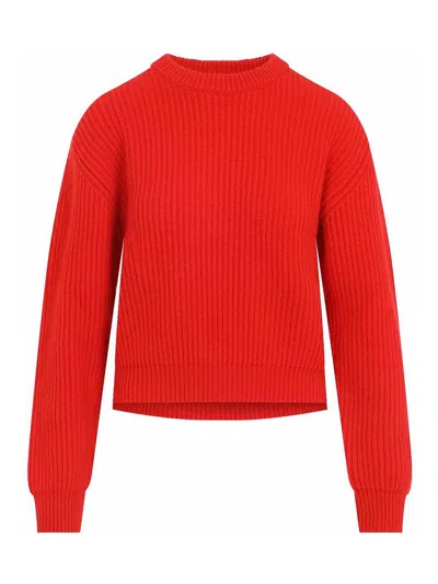 Jil Sander Ribbed Knit Sweater In Red