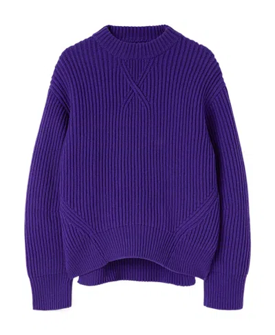 Jil Sander Ribbed-knit Wool Jumper In Blue