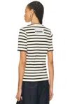 Jil Sander White White Striped Cotton T-shirt In White