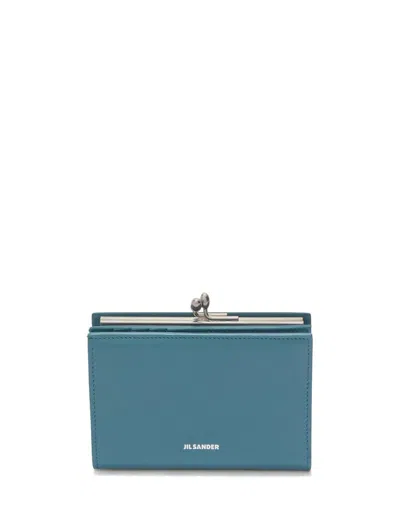 Jil Sander Small Goji Leather Purse In Multicolor