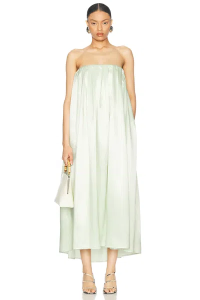 Jil Sander Strapless Dress In Lychee