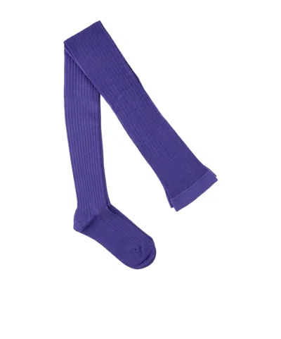 Jil Sander Stretched Ribbed Tights In Purple