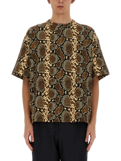Jil Sander T-shirt With Animal Pattern In Multicolor