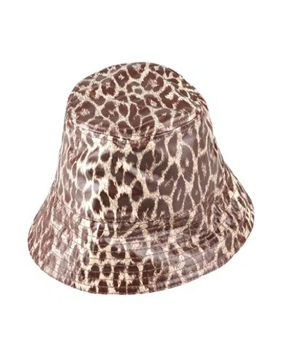 Jil Sander Woman Hat Dark Brown Size M Cotton, Silk