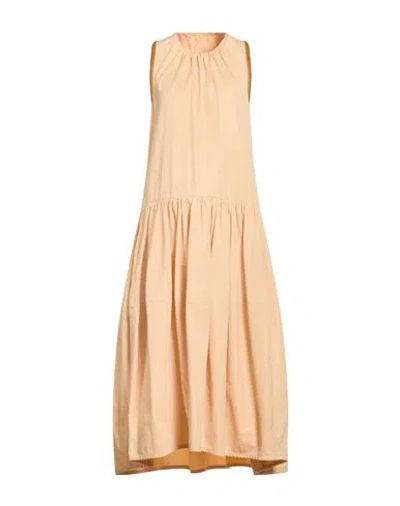 Jil Sander Woman Maxi Dress Apricot Size 6 Cotton In Orange