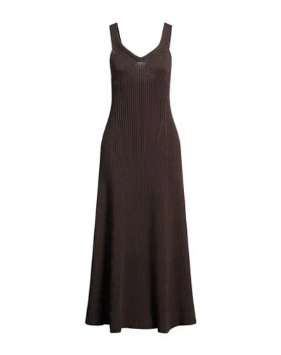 Jil Sander Woman Midi Dress Dark Brown Size 6 Cotton, Polyamide