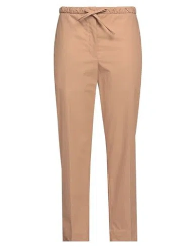 Jil Sander+ Woman Pants Camel Size 6 Cotton In Beige