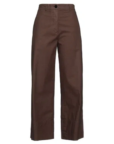 Jil Sander Woman Pants Dark Brown Size 12 Cotton