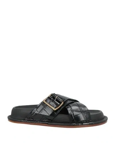 Jil Sander Crocodile-embossed Leather Sandals In Black