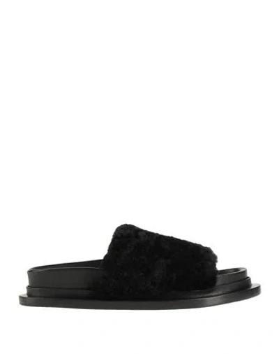 Jil Sander Woman Sandals Black Size 5 Leather, Shearling
