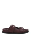 Jil Sander Woman Sandals Burgundy Size 8 Calfskin In Red