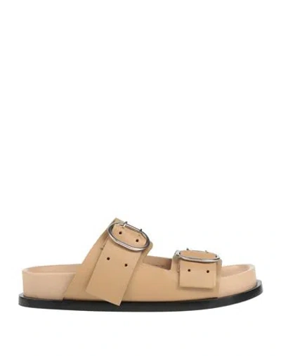 Jil Sander Woman Sandals Khaki Size 5 Calfskin In Beige