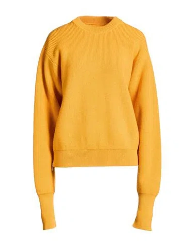 Jil Sander + Woman Sweater Marigold Size 8 Wool In Yellow