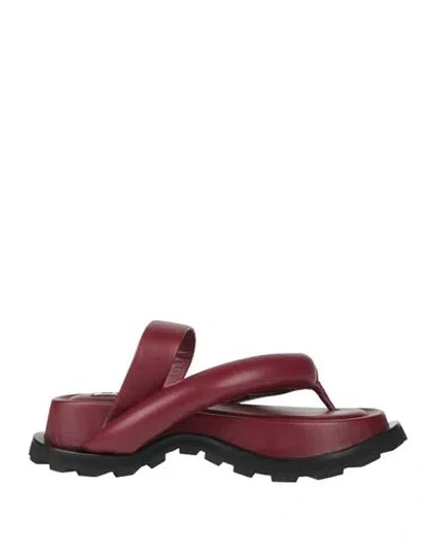 Jil Sander Woman Thong Sandal Burgundy Size 8 Leather