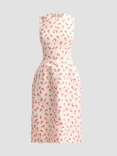 Jil Sander Women's Poppy Print Faille Midi Dress In Pink