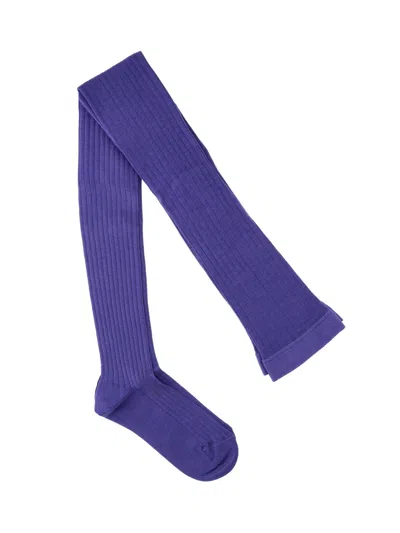Jil Sander Wool Blend Socks In Purple