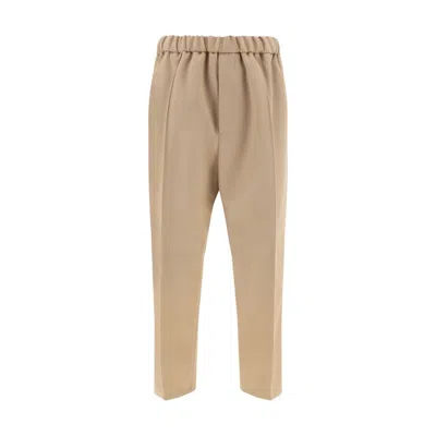 Jil Sander Wool Pants In Brown