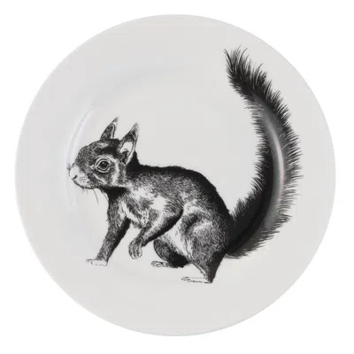 Jimbobart British Wildlife Collection Squirrel Side Plate In Animal Print