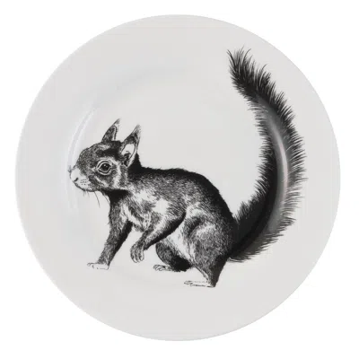 Jimbobart British Wildlife Collection Squirrel Side Plate In White